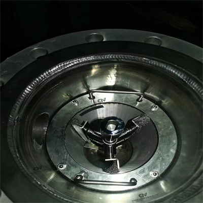 刷式自清洗过滤器