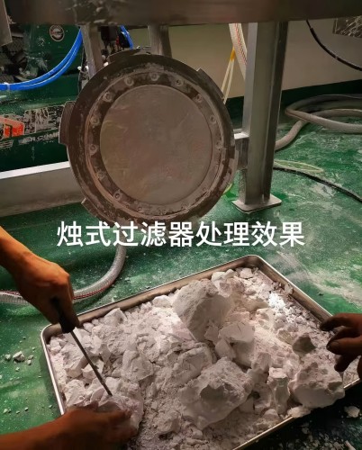 不锈钢烛式过滤机
